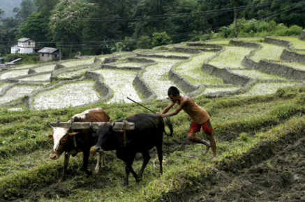 The Vibrant Villages Programme: A Response to PLA’s Salami Slicing through Xiaokang (小康) villages  